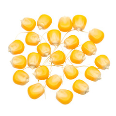 Fototapeta premium A pile of bright yellow corn kernels scattered on a black background Keywords: corn, kernels, maize, grain, food