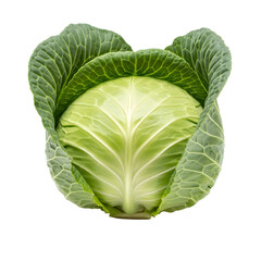 Obraz premium Fresh Green Cabbage with Intricate Leaf Veins Isolated on Black Background Keywords: cabbage, vegetable, green, fresh