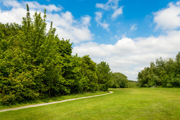 A path in the city park