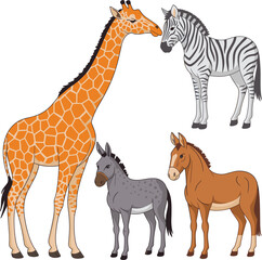 Giraffe,  Zebra, Horse,  Donkey vector on white background