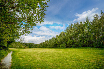 Beautiful green areas and parks