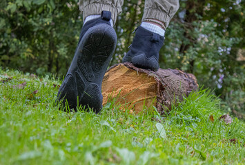 Walking onto an old tree