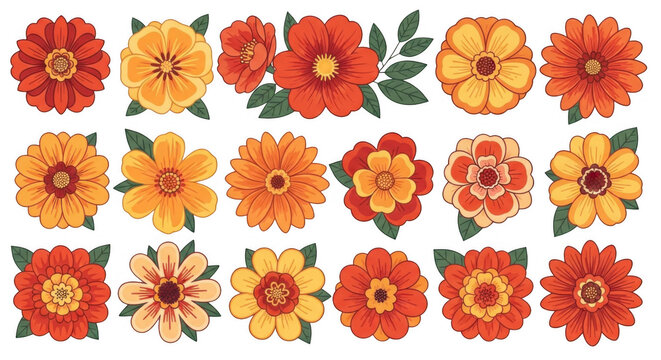 Collection of orange and red flowers.