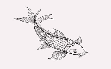 A detailed hand-drawn illustration of an elegant koi fish in black and white line art. Perfect for cultural, spiritual, or decorative designs.