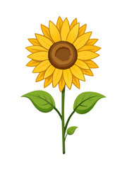 Fototapeta premium Vibrant Sunflower Illustration with Yellow Petals and Green Leaves on White Background