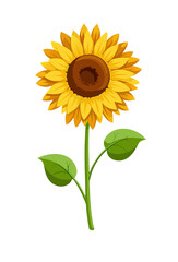 Fototapeta premium Illustration of a vibrant and cheerful sunflower with green stem and leaves