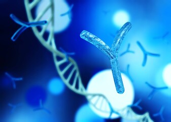 antibodies, immunoglobulins, DNA,
3D rendering