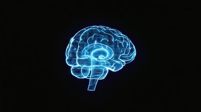 A glowing, digital representation of a human brain against a black background.  The brain's structure is depicted with a network of light-blue lines, creating a 3D effect.