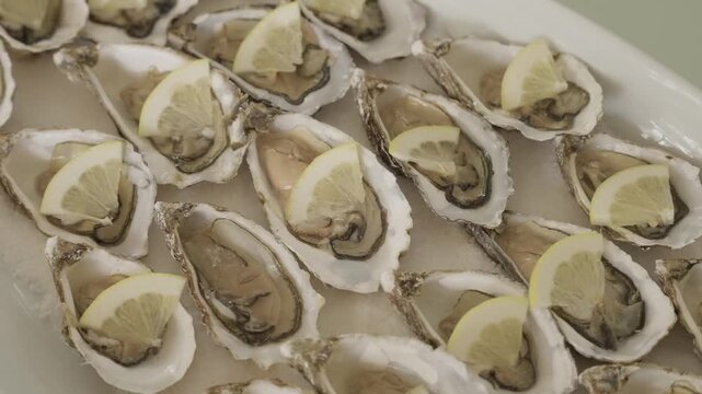 fresh oysters served on ice with lemon slices gourmet seafood appetizer presentation