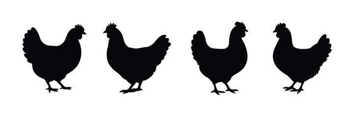 Fototapeta premium Four black chicken silhouettes standing in a row isolated on white background