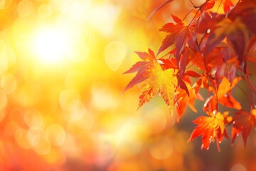 Fototapeta premium orange autumn bokeh background with branch of colorful autumn leaves