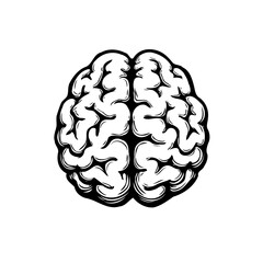 A monochrome anatomical representation of the cerebral organ offering insight into thought