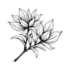Elegant botanical illustration displaying stylized petals and foliage emphasizing detailed