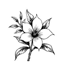 Elegant botanical illustration showcasing a stylized magnolia flower with intricate leaf details