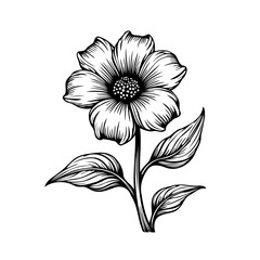 Elegant floral design showcases intricate linework and delicate petal details creates a