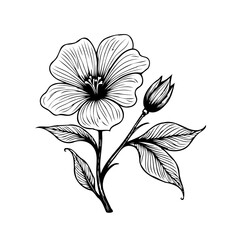 Elegant floral illustration portraying graceful botanical elements offering subtle beauty and