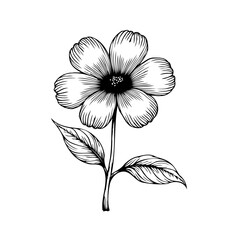 Elegant floral illustration with delicate lines creating a botanical beauty on a serene background