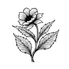 Elegant floral illustration with detailed line work showcasing a blooming flower and decorative