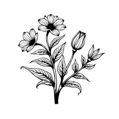 Elegant floral sketch of blossom flowers with decorative foliage and botanical elements in