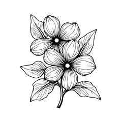 Elegant floral sketch with delicate petals and detailed line work creating a natural simplicity