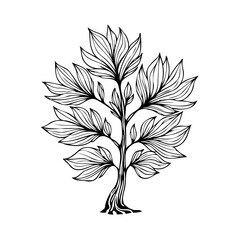 Elegant floral tree illustration featuring intricate line work, displaying symmetry and natural