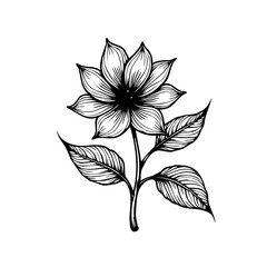 Elegant monochrome botanical illustration featuring a stylized flower and delicate leaves creating
