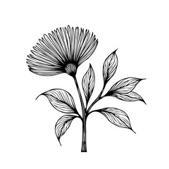 Fototapeta premium Elegant monochrome floral illustration showcasing delicate flower and leaf patterns in artistic