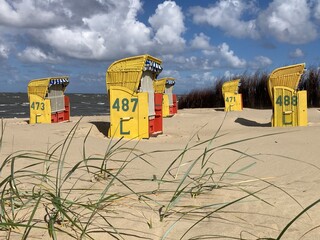 Gelbe Strandkörbe, am Strand der Nordsee in Cuxhaven bei Sturm