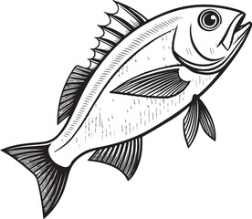 Fish Hand-drawn Vector Illustration, Sketch Drawing Doodle Line Linear Symbol Icon Engraving Coloring Book, Black and White Isolated