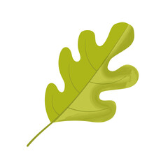 colorful green oak leaf icon