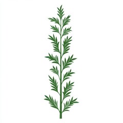 Green Herb Branch with Detailed Leaves on White Background