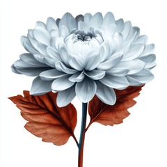 Elegant White Flower with Red Leaves on Artistic Background