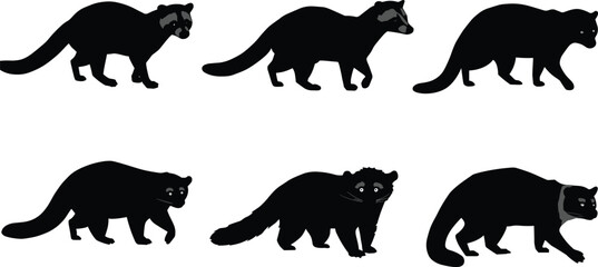 Raccoon silhouette set, wild mammal comparison, animal vector icons, black white graphic, tail mask variation, species anatomy illustration