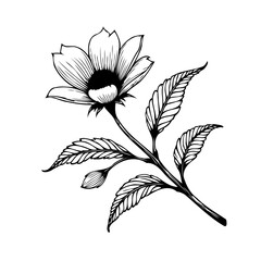 Intricate floral artwork showcasing delicate line work of a single flower with surrounding leaves