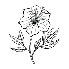 Elegant Lily Flower Line Art Illustration