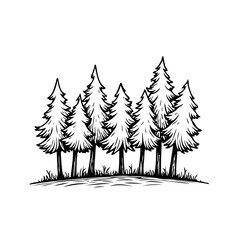 Stylized evergreen trees sketched depiction reveals nature's beauty in black and white