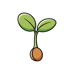 Plant growing from seed