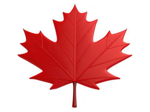 Red maple leaf isolated on transparent background