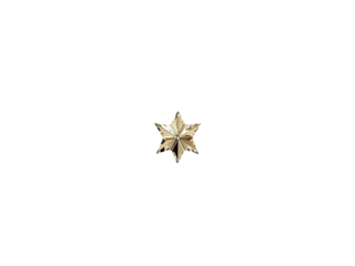 Star on the Christmas tree isolated on transparent or white background, png