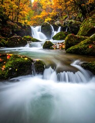 Obraz premium Autumnal forest stream cascade
