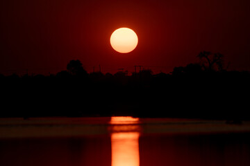 Obraz premium Close-up sunset over Revuboe River Mozambique