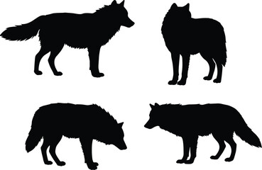 Wolf silhouette collection, wild animal poses illustration, predator artwork, wildlife design, nature hunting behavior concept artwork