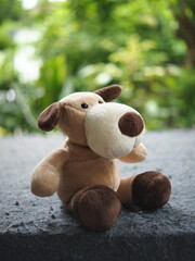 dog doll sitting on garden and greenbackground