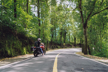 Obraz premium Adventure motorcyclist checking direction on smartphone using map application while riding through tropical woods, representing digital reliance in modern remote journeys.
