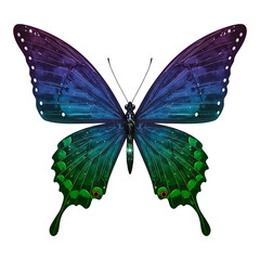 Green and purple butterfly with wings spread open, creative insect illustration symbolizing beauty and freedom