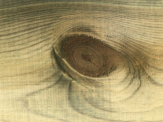 abstract wood texture resembling an eye