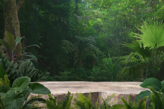 Wood stump podium stand with green tropical forest nature background.natural product pedestal wooden table top display.jungle paradise concept.