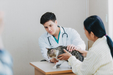 Vet listening fluffy cat using stethoscope during appointment in veterinary clinic