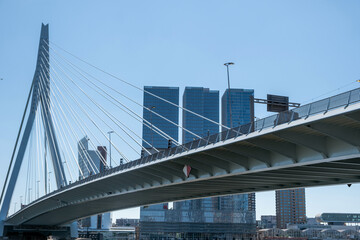 Rotterdam city Erasmus bridge and modern architecture towers, Netherlands