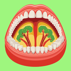 A clear and simple anatomical diagram of the oral cavity, showing the tongue, palatal arches, and tonsils against a bright green background for educational purposes	